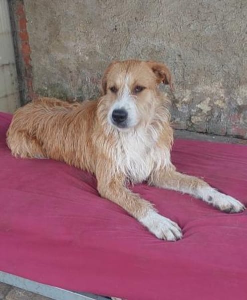 Großes Mädchen sucht großes Glück