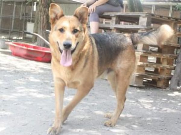 Cezar war nur eingesperrt