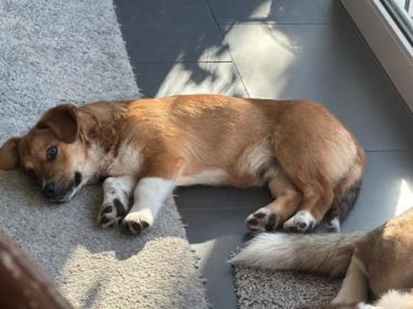 Egun, kleiner Wirbelwind mit großem Herz