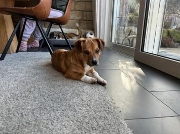 Egun, kleiner Wirbelwind mit großem Herz