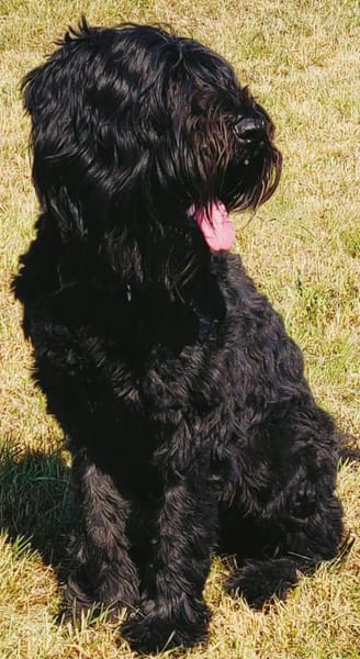 MORI VERLIERT SEIN SICHERES UMFELD