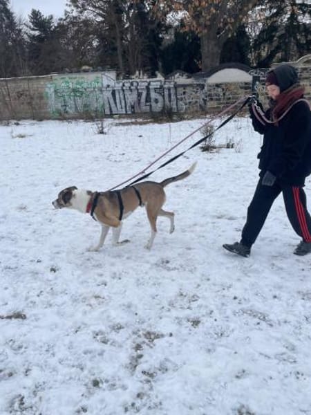 Dias aus 01097 Dresden