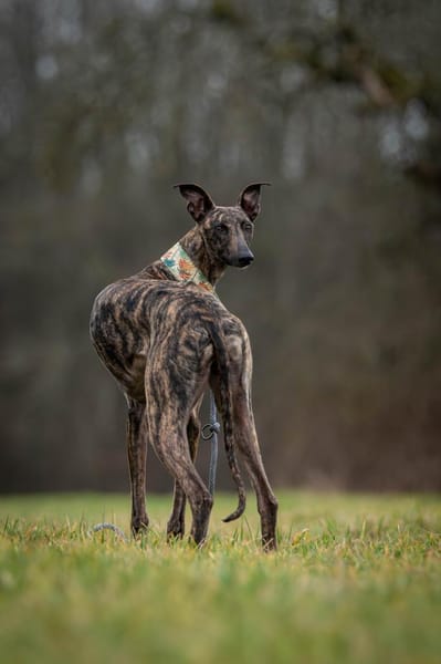 Die besondere NANI💋