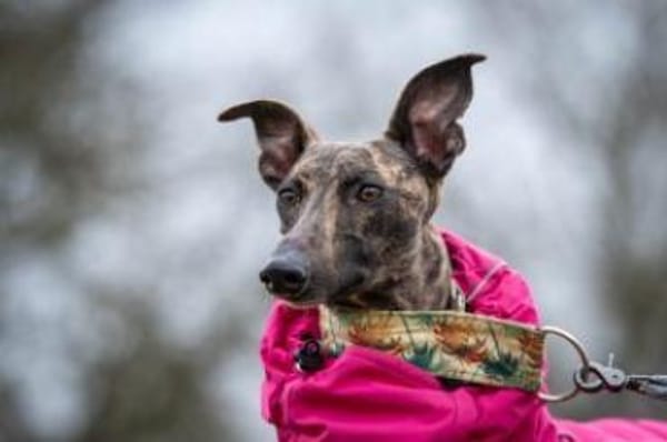 Die besondere NANI💋