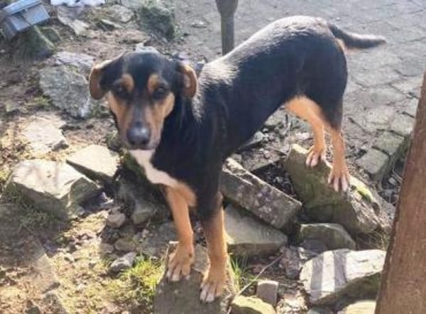 WENDY sucht ihr Glueck