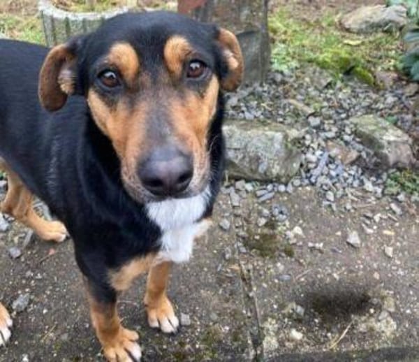 WENDY sucht ihr Glueck