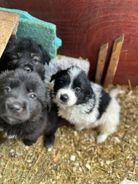 Zach, das Jahr fängt ja gut an