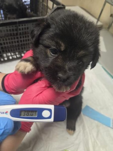 Zach, das Jahr fängt ja gut an