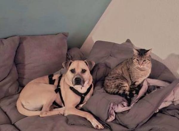 CRUMBLE - sanft und mutig