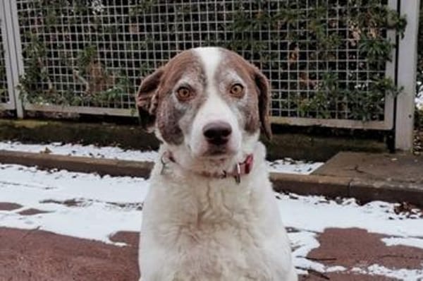 Marta - wartet in 13089 Berlin