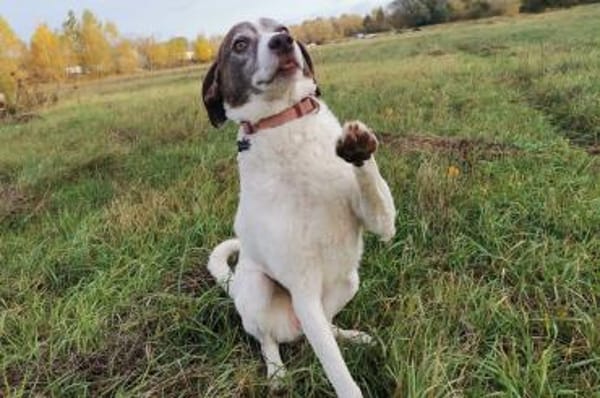 Marta - wartet in 13089 Berlin