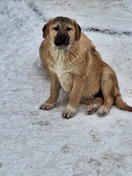 Jeremy hat schon viel gelernt