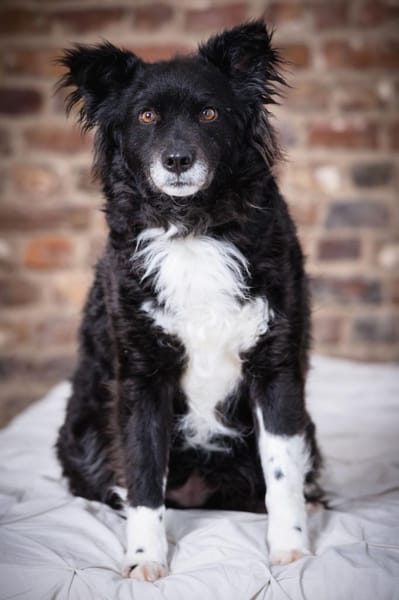 Nana sucht ihr Zuhause