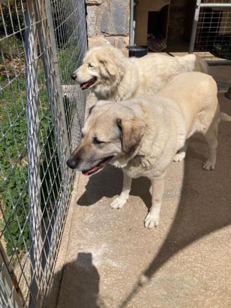 Ira hat ihr Zuhause verloren