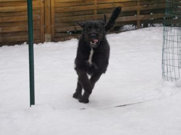 Laura wünscht sich Zuwendung