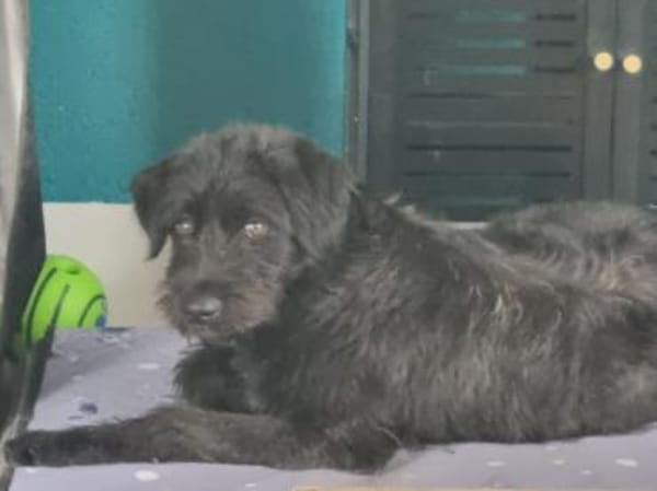 Laura wünscht sich Zuwendung