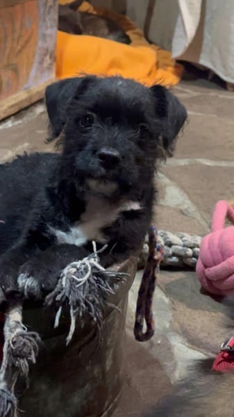 Trash, aus dem Müll gerettet