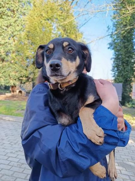 ELIZA ❤ sucht ein einfühlsames Zuhause