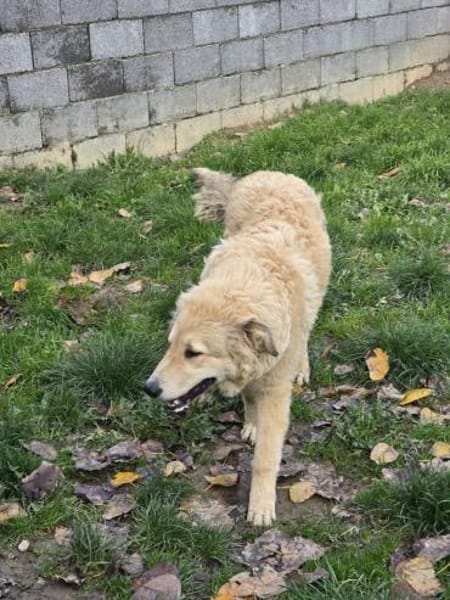 Mela -  auf einer Müllhalde gefunden