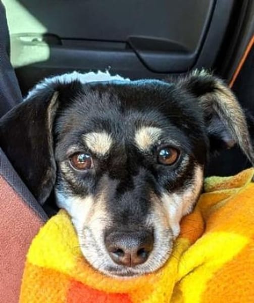 Klein Yaya ist aufgeschlossen und lieb