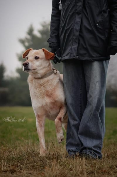 Alfredo  Ein ruhiger Senior sucht ❤