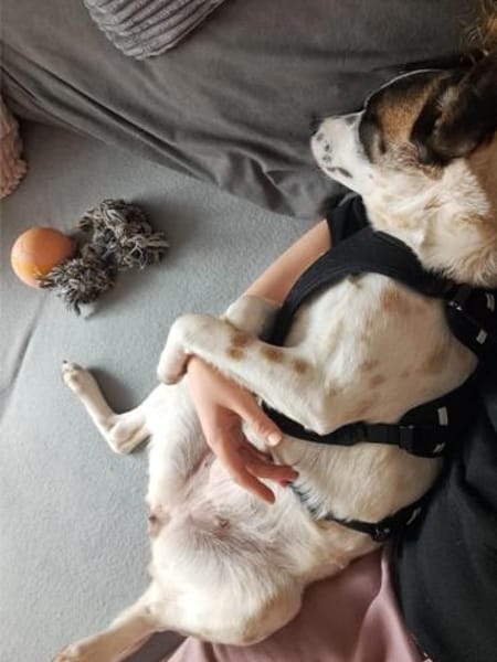 Vesna, liebevolle Zaubermaus, ca. 8 Mona