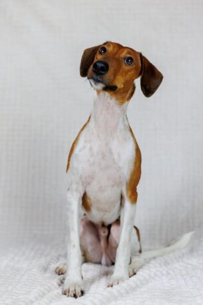 THEO WÜNSCHT SICH SEINE EIGENEN MENSCHEN