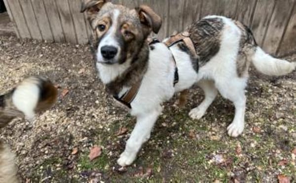 Naya sucht aktive Menschen