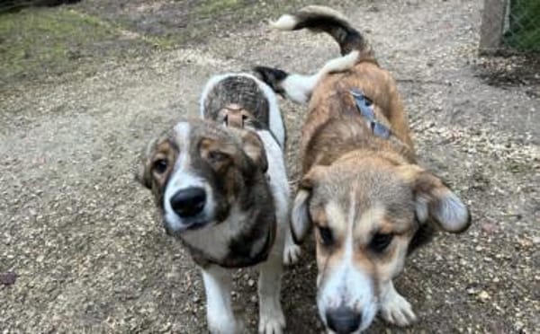 Naya sucht aktive Menschen