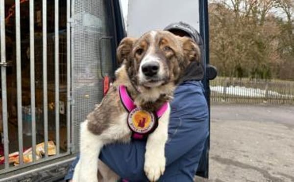 Naya sucht aktive Menschen