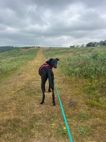 Csöppke B-, die Besondere