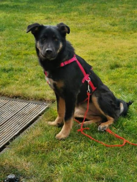 Zuckersüße Polly wartet auf ihre Familie