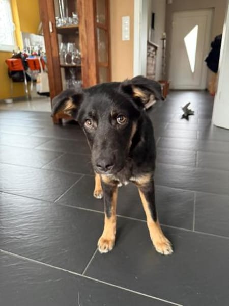 Zuckersüße Polly wartet auf ihre Familie