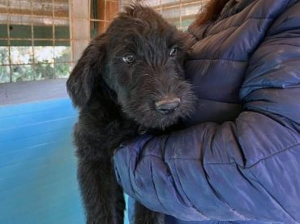 Luki möchte die Welt mit Ihnen entdecken