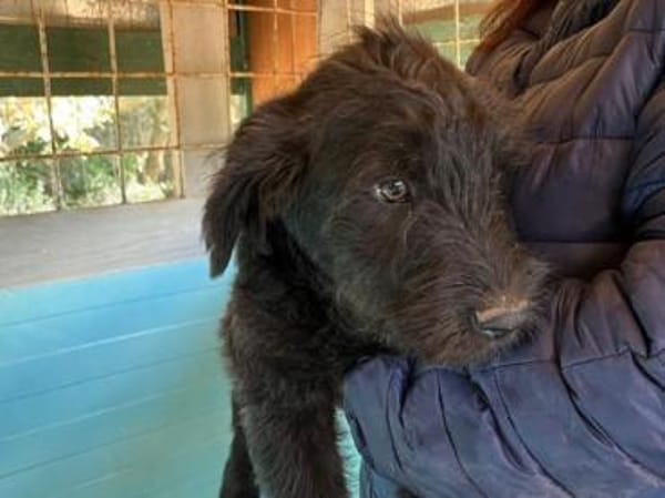 Luki möchte die Welt mit Ihnen entdecken