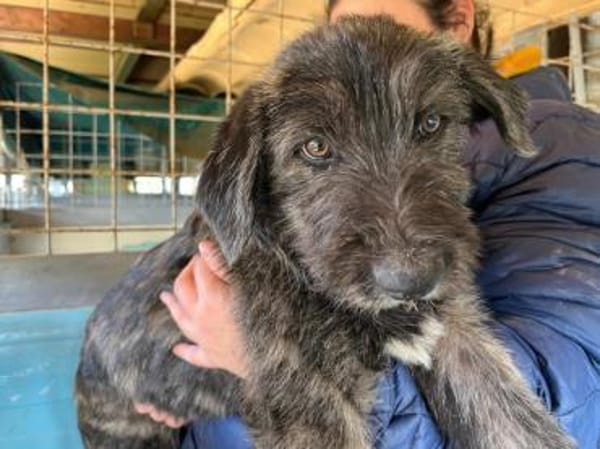 Liam sucht engen Familienkontakt