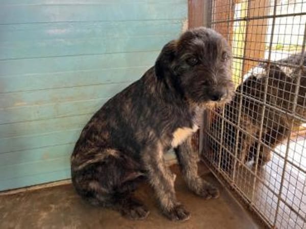 Liam sucht engen Familienkontakt