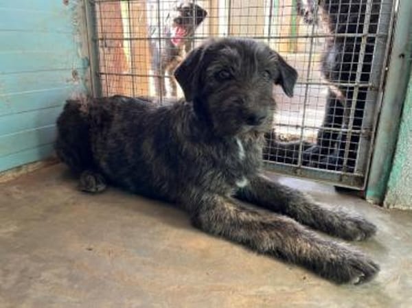 Liam sucht engen Familienkontakt