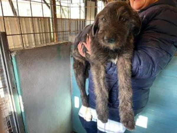 Liam sucht engen Familienkontakt