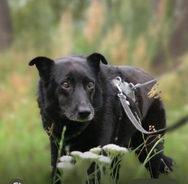 Hope - der Name ist Programm