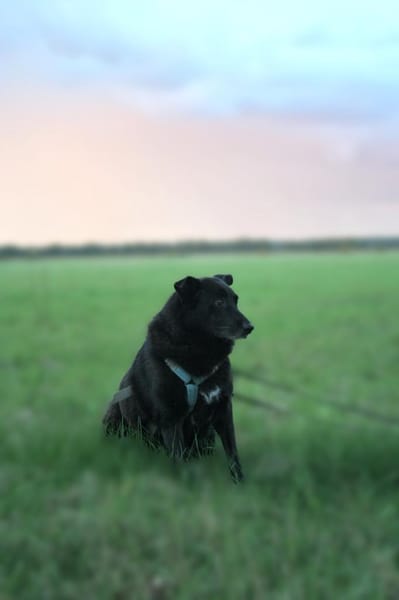 Hope - der Name ist Programm