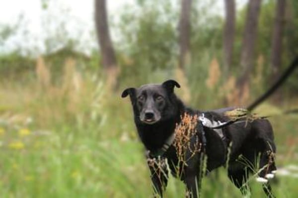 Hope - der Name ist Programm