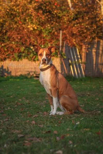 Rina - sportlich und aktiv