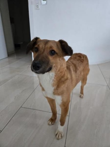 🌸Sanfte Maisie sucht Dich🌸