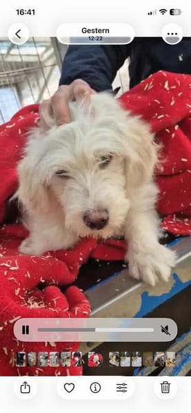 -Yuki- ab 26.02. auf PS in 77652 OG!