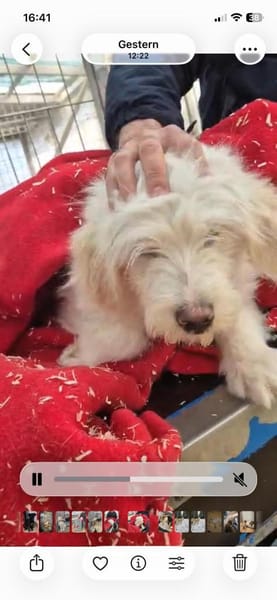 -Yuki- ab 26.02. auf PS in 77652 OG!