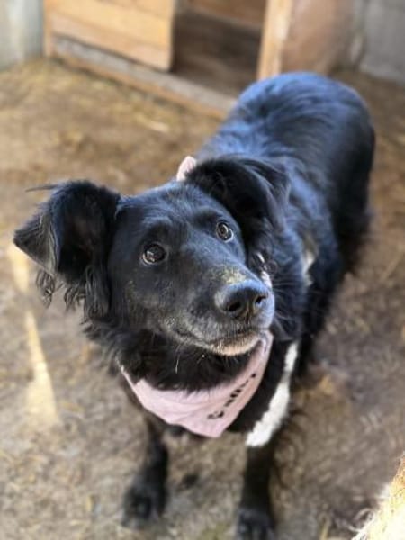 Sanfte Fiby hofft auf Happy End