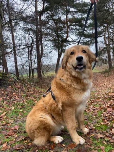 Molly -  hatte keinen guten Start