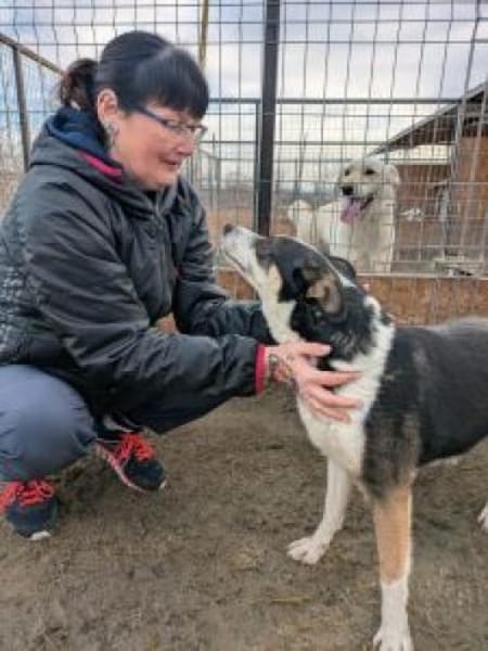 Stelina  48 cm (Pflegestelle)