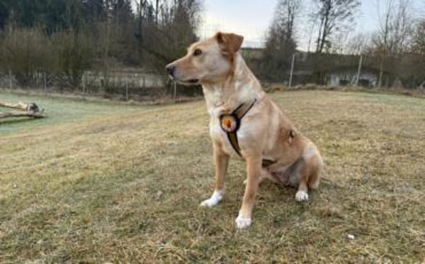 Wunderschöne Kira sucht ihre Familie